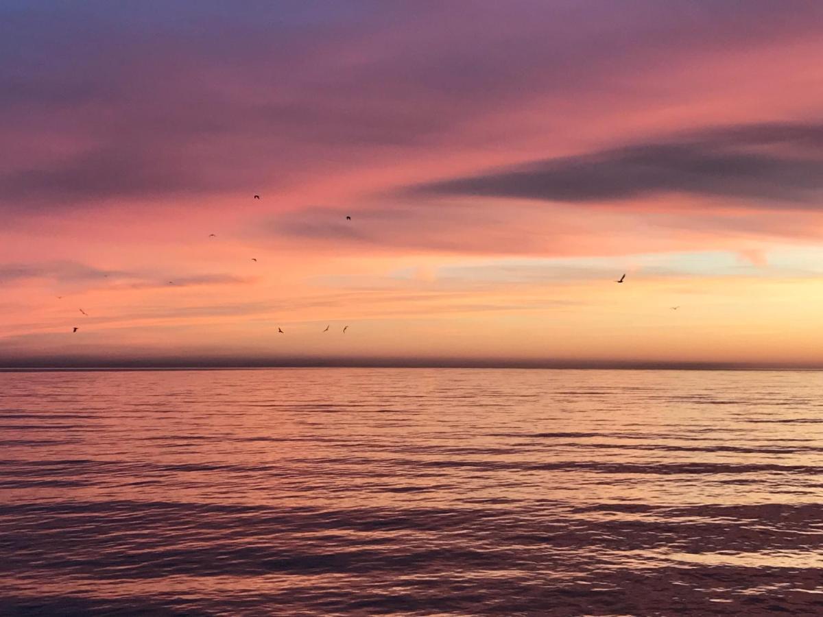 Гавань Hotell Sukhumi Eksteriør bilde